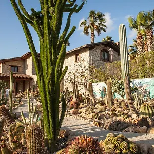 Garden Cactus Gospodarstwo wiejskie Villaggio Mosè
